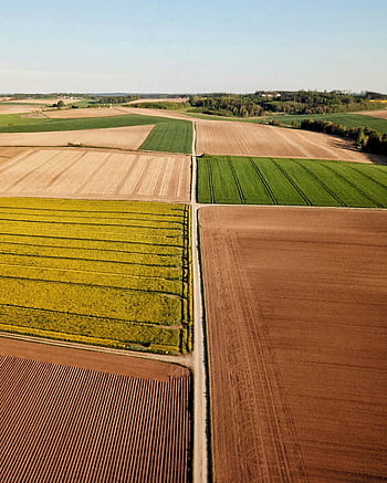 A vibrant aerial shot of diverse farmland patterns in Wallersdorf, Germany. HD phone wallpaper