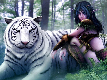 resting_in_the_forest, amit, omdave, matu, hrdave HD wallpaper