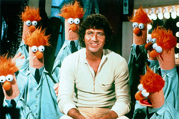 Mac Davis on the Muppet Show, TV Show, The Muppets (TV Show) HD wallpaper