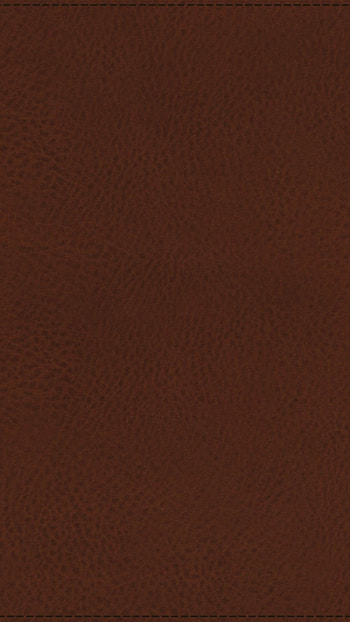 Brown, Colour, Brown Colour HD phone wallpaper