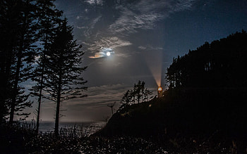 Trees, Sea, Night, Mountain, Dark, Lighthouse HD wallpaper