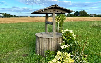 Well by Field, wooden, field, Latvia, flowers, well HD wallpaper