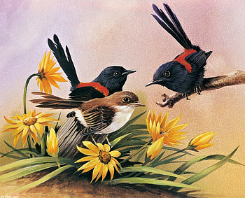 Birds, oil painting, beautiful, painting HD wallpaper