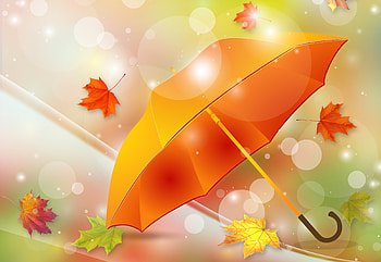 Umbrella, Leaves, Colorful, Autumn HD wallpaper