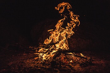 Firewood, night out, dark, fire HD wallpaper