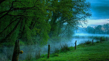 Morning Fog, blue, morning, land, daylight, day, fog, fence, trees, water, grass, lake, leaves, green, clouds, nature, sky, forest HD wallpaper