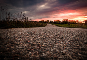 Nature, Trees, Twilight, Road, Asphalt, Dusk HD wallpaper