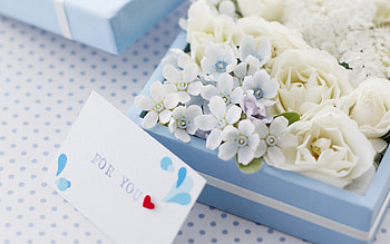 Plants, Flowers, Bouquets HD wallpaper