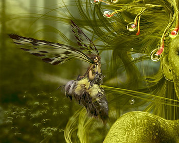 Fairy Sitting on Claw, fairy, claw, wings, fantasy HD wallpaper