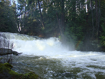 Bowen Park, falls, river, nature, rainbow HD wallpaper