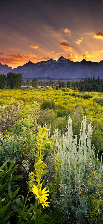 Captivating landscapes, , Natural beauty, Stunning mountains HD phone wallpaper