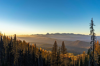 Nature, Trees, Sky, Fog, Hills HD wallpaper