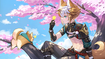 Blue Eyes Gorou Shiba Pink Sakura Flowers Trees Genshin Impact HD wallpaper