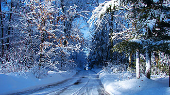Winter Road in Wisconsin, trees, forest, usa, snow HD wallpaper