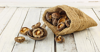 Shiitake knowledge and preparation, Gourmet ingredients, Fine dining insights, Culinary expertise HD wallpaper