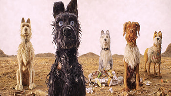 Isle of Dogs, High-definition , Visual quality HD wallpaper
