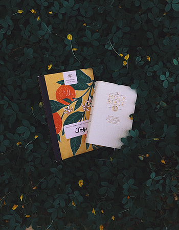 Flowers, Books, Miscellanea, Miscellaneous, Foliage, Reading HD phone wallpaper