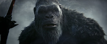 Godzilla vs Kong: The New Empire | Titan Showdown, movie, Godzilla x Kong: The New Empire HD wallpaper