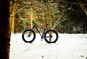 Sports, Snow, Forest, Bicycle HD wallpaper