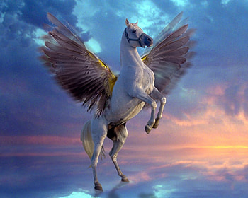 Fantasy horse, wings, horse, 3d, fantasy, art HD wallpaper