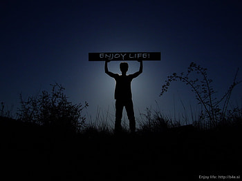 Enjoy Life!, night, signs, life, field, silhouette, dark, enjoy HD wallpaper