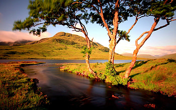 MOUNTAIN RIVER, landscape, trees, river, nature HD wallpaper