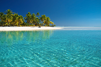 Landscape, Sea, Beach, Palms HD wallpaper