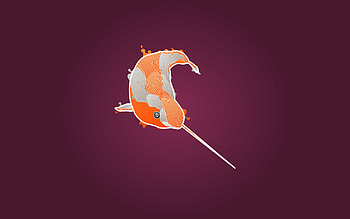 Narwhal , Stunning visuals, Ocean beauty, Underwater magic HD wallpaper