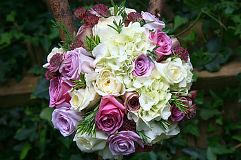 Flowers, Roses, Bouquet, Sharpness, Hydrangeas, Astrantia, Astration HD wallpaper