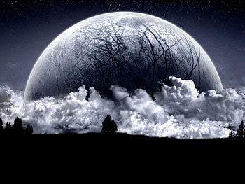 Bad Moon Rising, white, black, moon, silhouette, dark, tree HD wallpaper