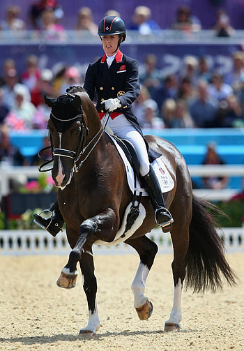 Dressage grand prix, Elite dressage rider, Equestrian elegance, Dressage horse love HD phone wallpaper