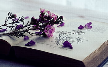 Delicate purple flowers on an open book with floral illustrations. HD wallpaper