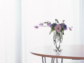 Pure Cuts, sunny, table, window, vase, colours, mixture, spring, simple, pretty, cuts, bright, stand, glass, flowers HD wallpaper