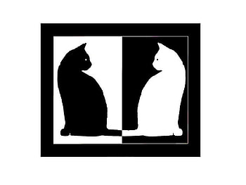 Black and white abstract cats, kitten, sweet, animal, white, black, feline, cat, abstract, silhouette HD wallpaper