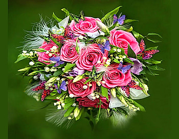 A bouquet for the New Year, butterflies, purple, pink, roses, red, flowers, green background, arrangement HD wallpaper