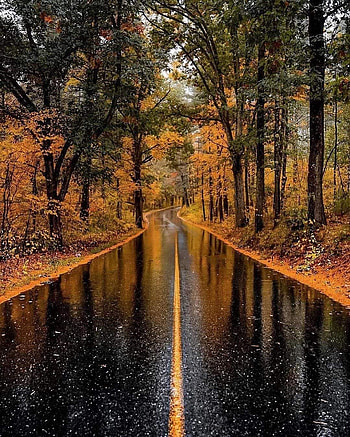 Massachusetts USA, orange, natural_landscape HD phone wallpaper