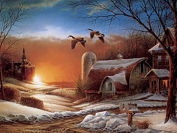 Evening Flight, flight, house, evening, sundown HD wallpaper