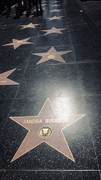 Walk of fame rose, Hollywood recognition, Glittering honor, Celebrity legacy HD phone wallpaper