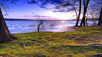 Within, blue, grass, ray, mountain, lakes, green, trees, brightness, sky HD wallpaper
