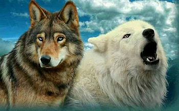 Strong Together, Wolves, animals, Wolf, nature, Together, Strong HD wallpaper
