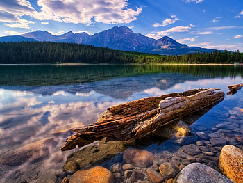 Nature, Lake, Reflection, Wood, Tree, Water Surface, Wreckage, Detritus, Trunk HD wallpaper