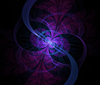 Fractal, lines, circles, violet HD wallpaper