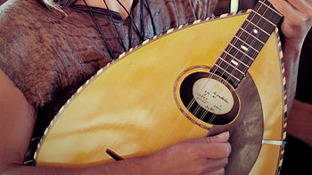 Mandola music, Mandola els berros de la cort, Instrument HD wallpaper
