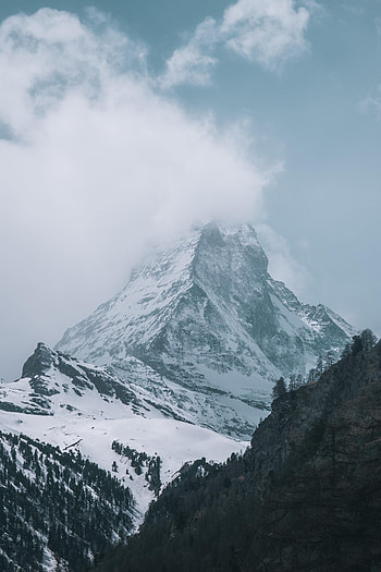 Nature, Trees, Snow, Rocks, Vertex, Top, Snow Covered, Snowbound HD phone wallpaper