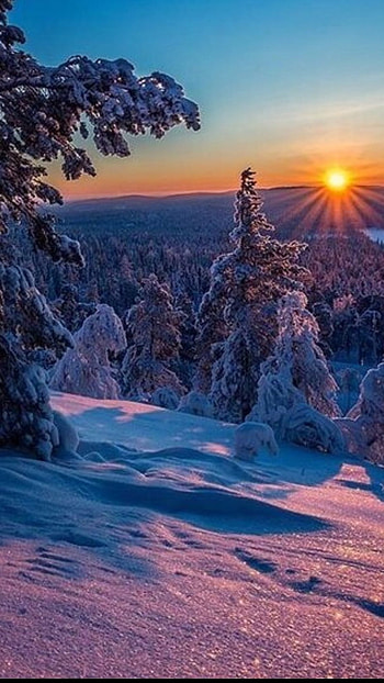 Winter, Winter Nature HD phone wallpaper