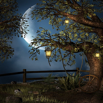 Romantic moon, night, lamp, colors, peaceful, fullmoon, romance, tree, moon, splendor, lovely HD wallpaper