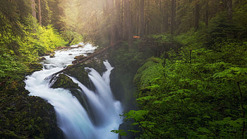 Sol Duc Falls, Olympic national Park, Washington, trees, landscape, river, usa HD wallpaper