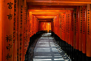 Fushimi Inari Taisha Torii Tunnel - Kyoto, Japan Background, Japan, Kyoto, tunnel HD wallpaper