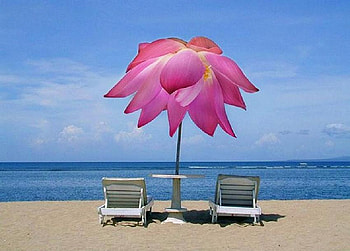 Rosey day at the beach, blue, blue sky, chairs, white, sand, rose umbrella, ocean, beach HD wallpaper