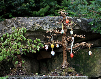 Easter Garden, garden, decorating, bonsai, home HD wallpaper